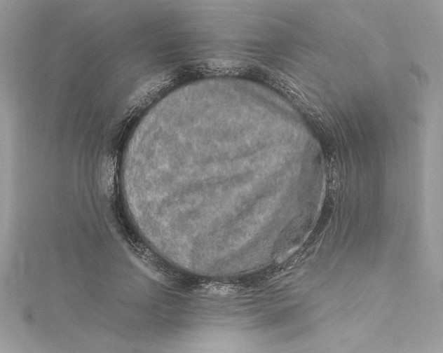 X0000115020742200911161445