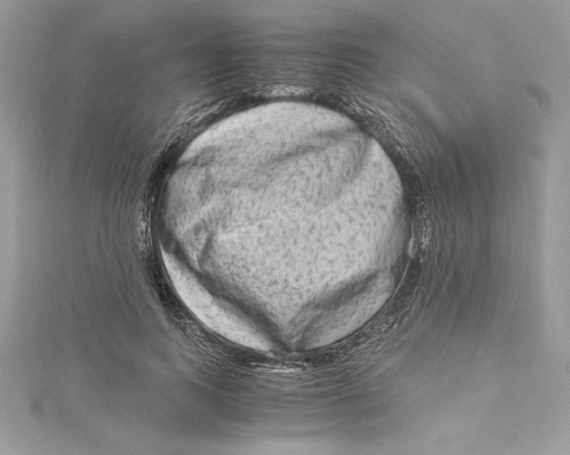 X0000115020743200911161445