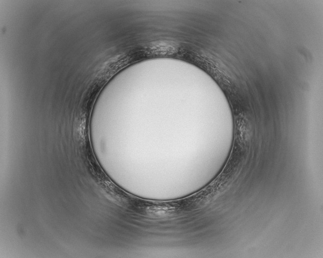 X0000115020745200911161445