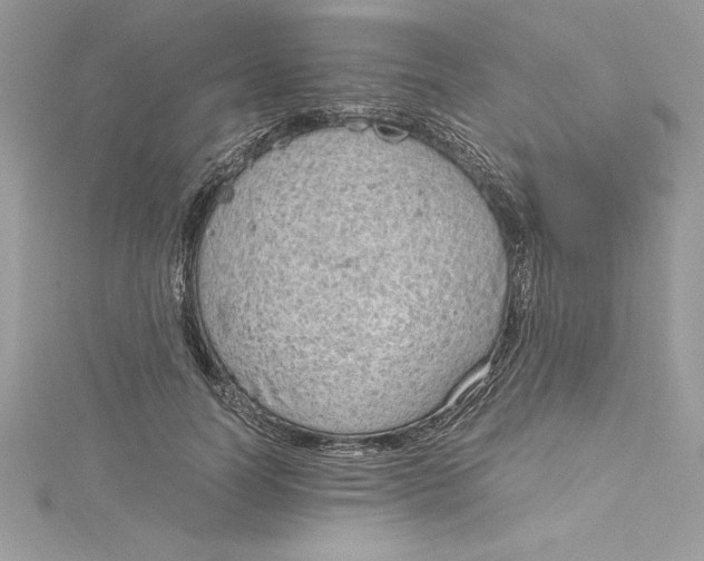 X0000115020746200911161445