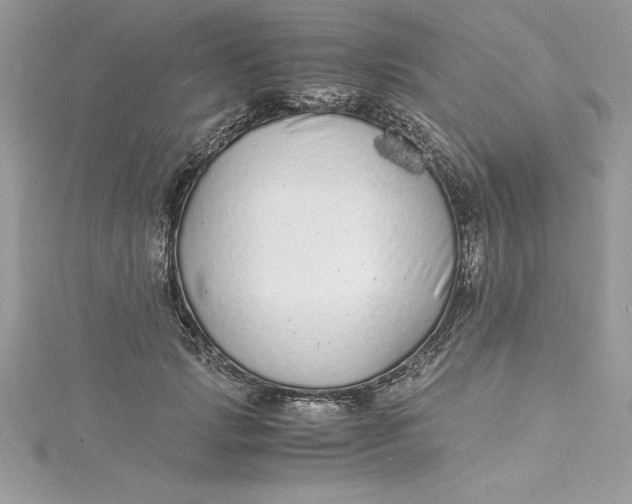 X0000115020749200911161445