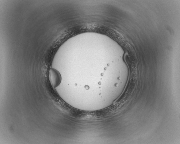 X0000115020750200911161445