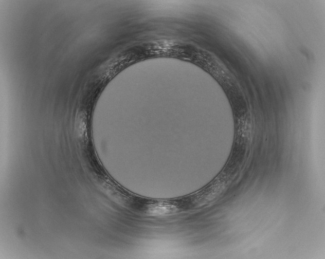 X0000115020754200911161445