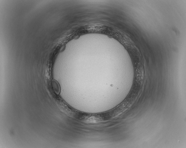 X0000115020755200911161445