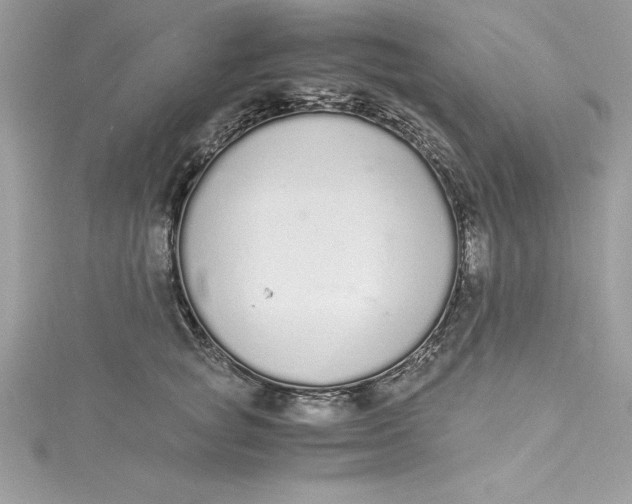 X0000115020757200911161445