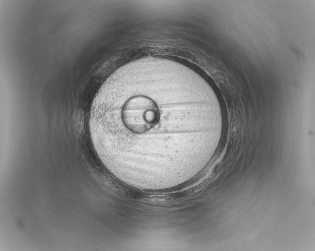 X0000115020758200911161445