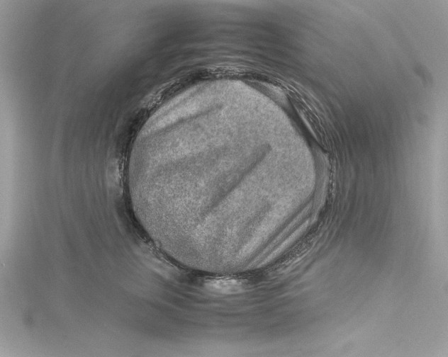 X0000115020759200911161445