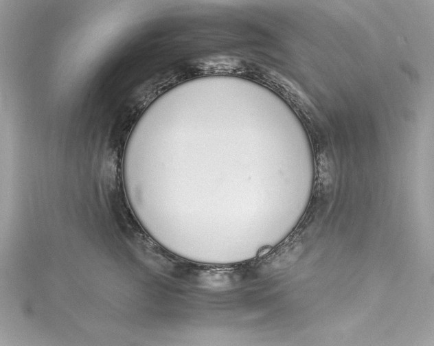 X0000115020761200911161445