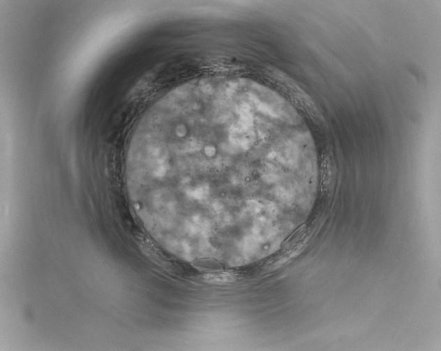 X0000115020762200911161445