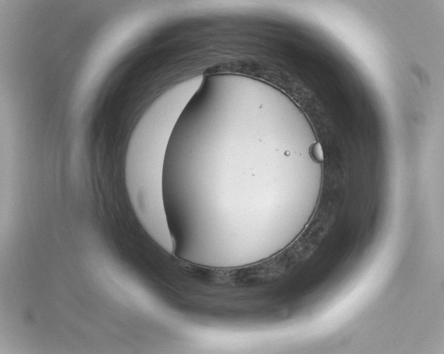 X0000115020766200911161445