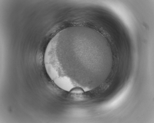 X0000115020767200911161445