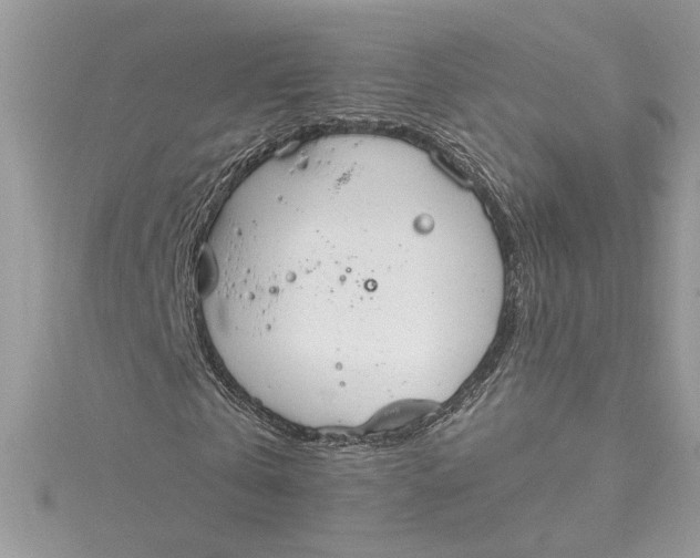 X0000115020769200911161445