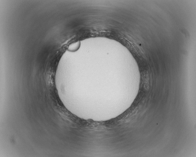 X0000115020770200911161445