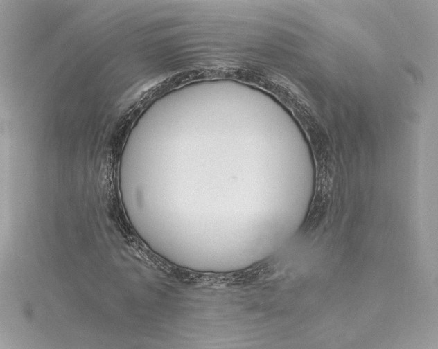 X0000115020773200911161445