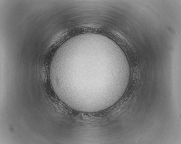 X0000115020774200911161445