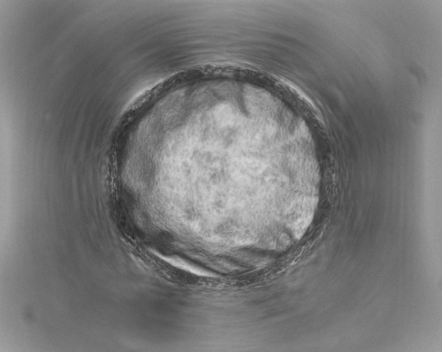 X0000115020775200911161445