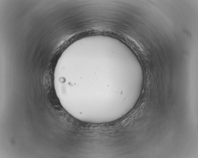 X0000115020776200911161445