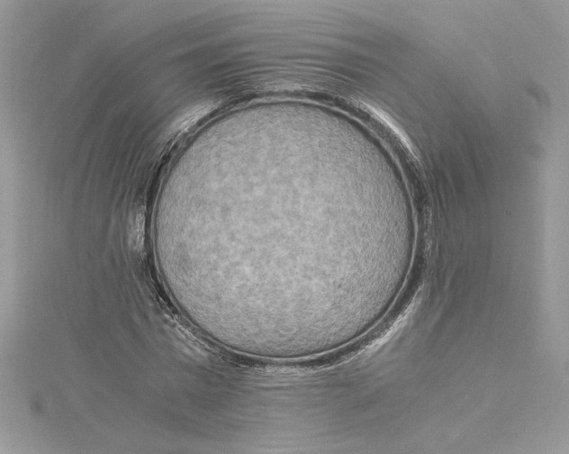 X0000115020777200911161445