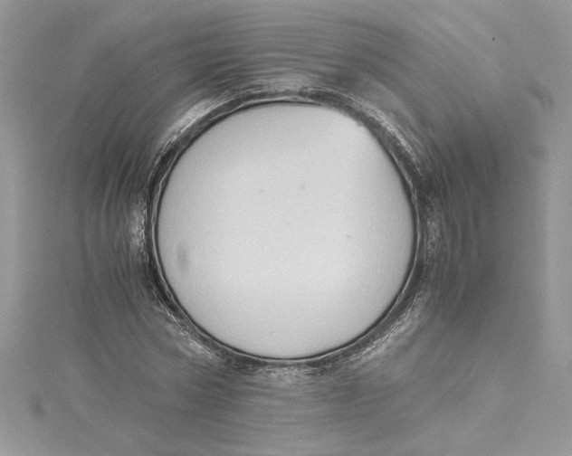 X0000115020778200911161445