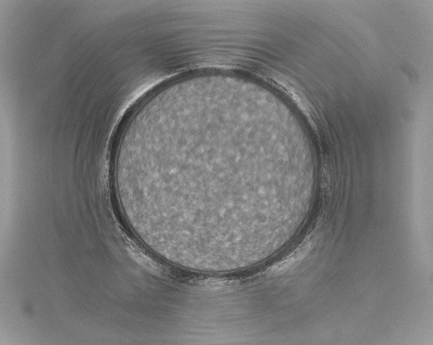 X0000115020779200911161445