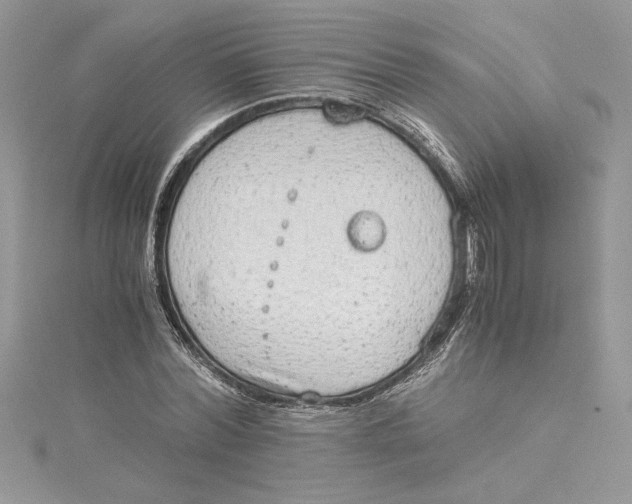 X0000115020780200911161445