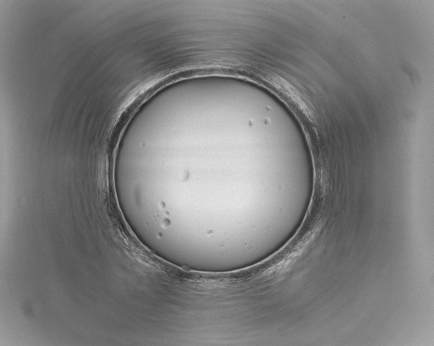 X0000115020781200911161445