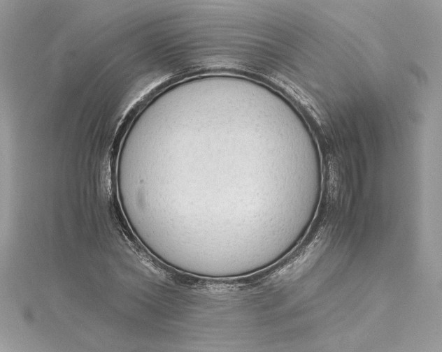 X0000115020782200911161445