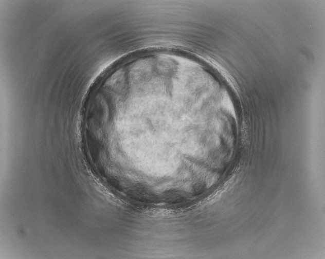 X0000115020783200911161445