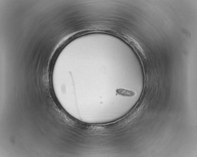 X0000115020784200911161445