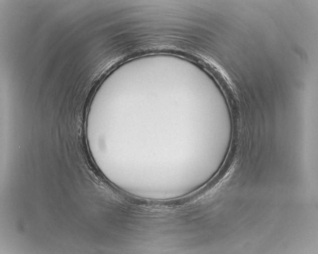 X0000115020785200911161445