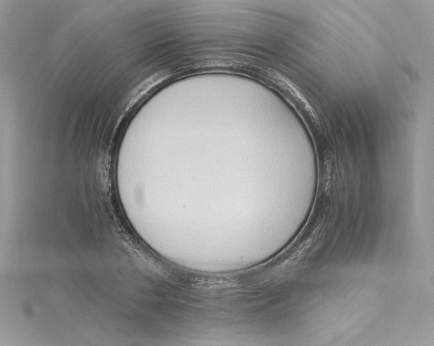 X0000115020786200911161445