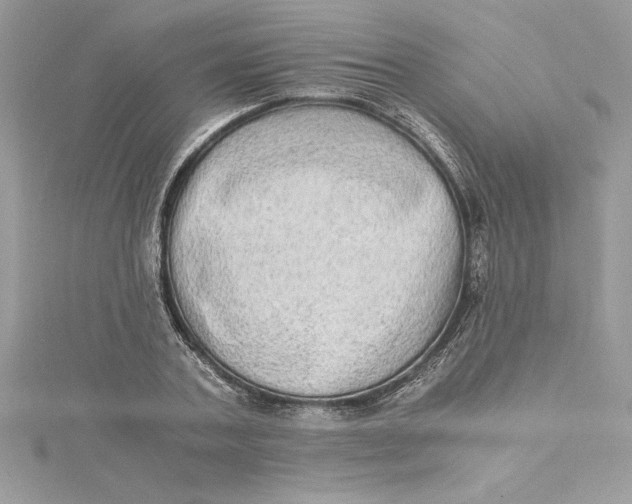 X0000115020787200911161445