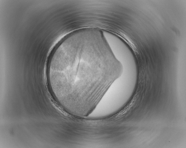 X0000115020788200911161445