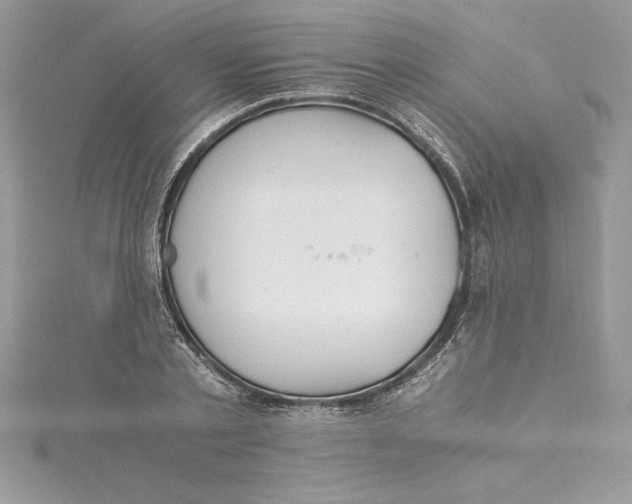 X0000115020789200911161445