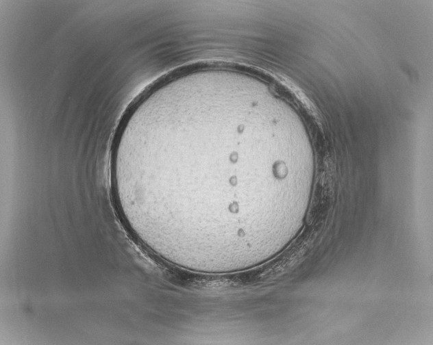 X0000115020791200911161445