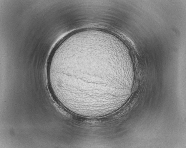 X0000115020792200911161445