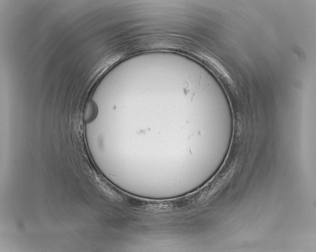 X0000115020793200911161445