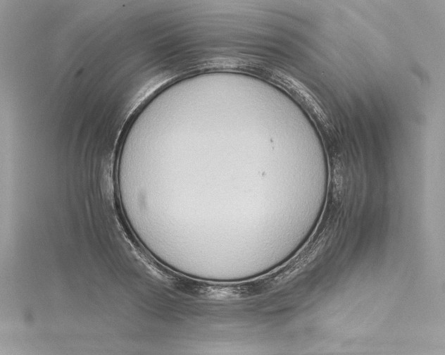 X0000115020794200911161445