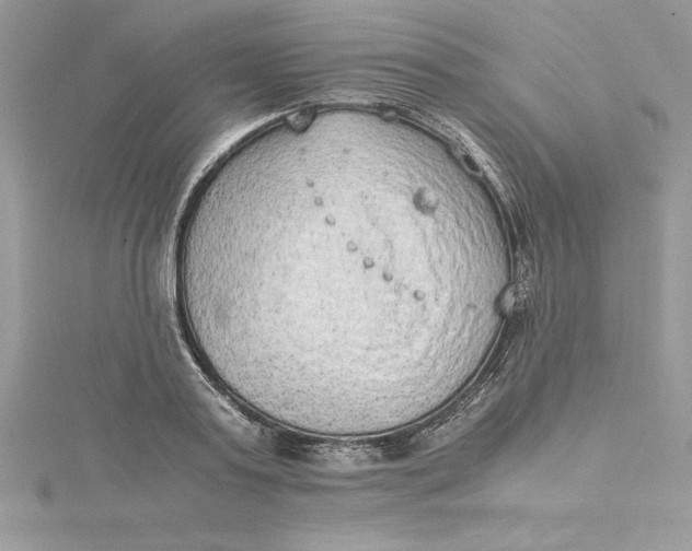 X0000115020795200911161445