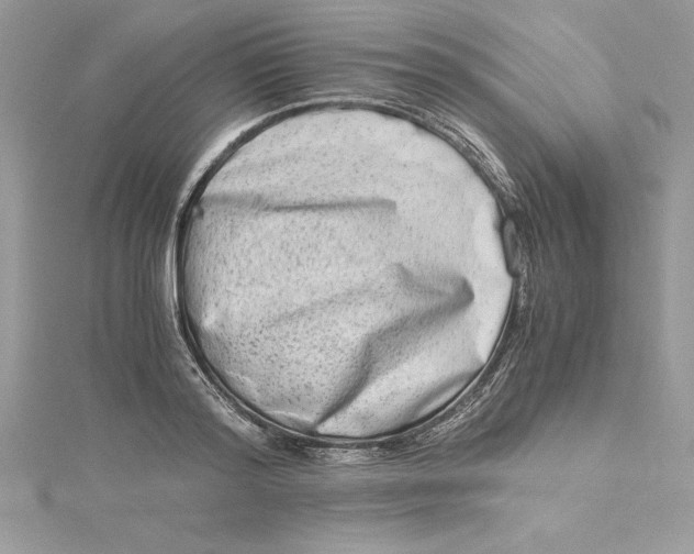 X0000115020796200911161445