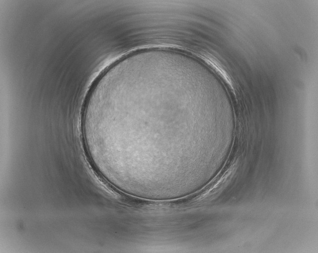 X0000115020797200911161444