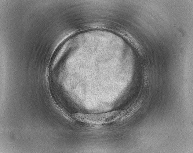 X0000115020798200911161444