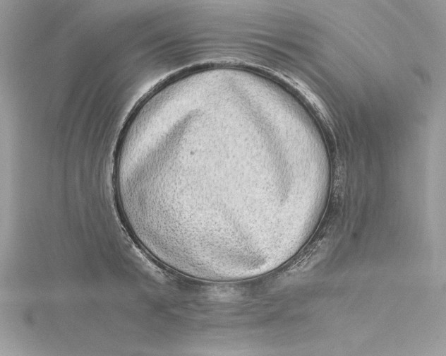 X0000115020799200911161444