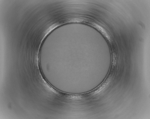 X0000115020802200911161444