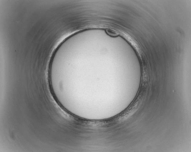 X0000115020803200911161444