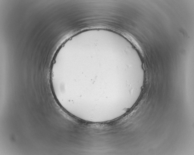 X0000115020805200911161444