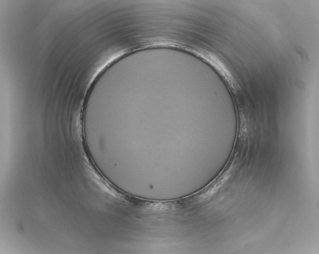 X0000115020806200911161444