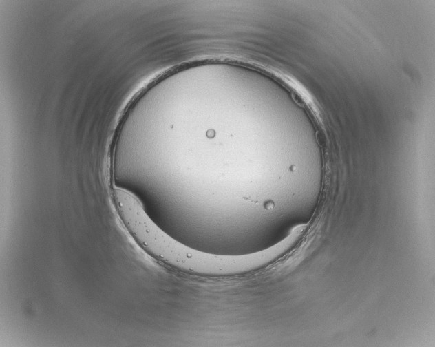 X0000115020807200911161444