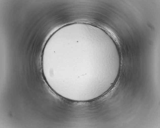 X0000115020808200911161444