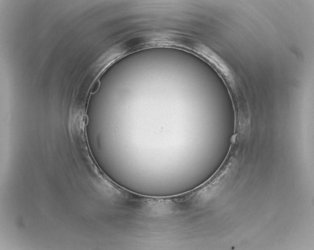 X0000115020809200911161444